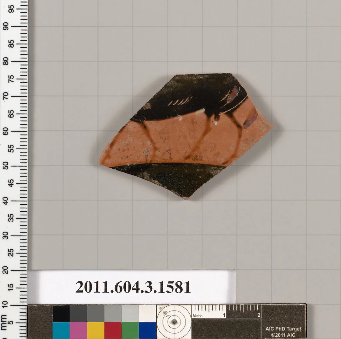 Terracotta fragment of a kylix: Band cup (drinking cup) — Unknown