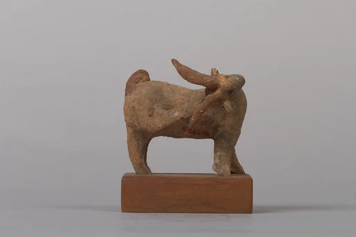 北魏  陶山羊俑|Goat (one of a pair)