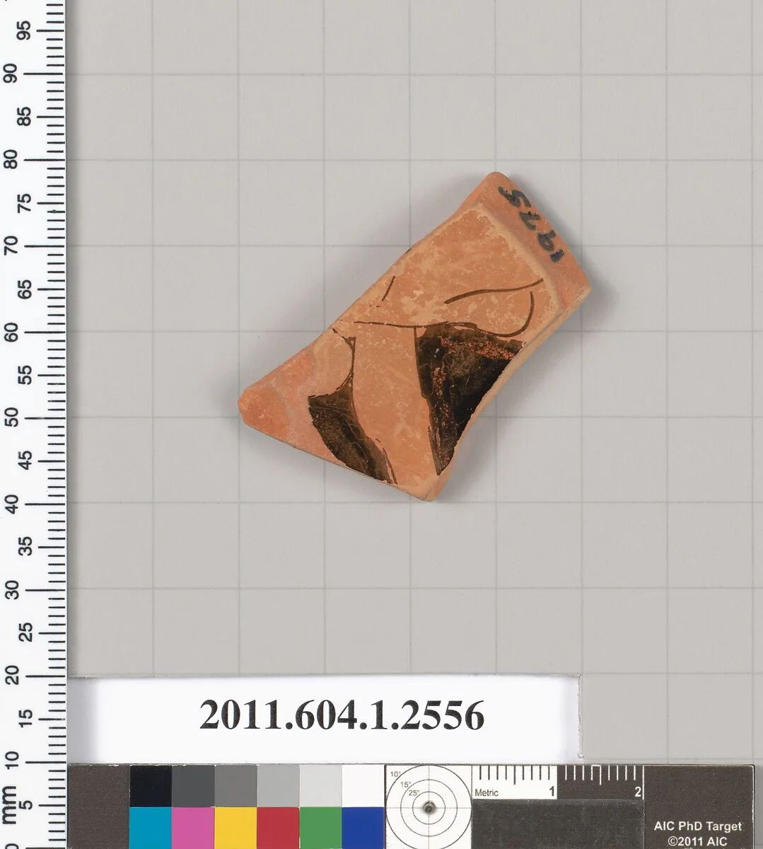 Terracotta fragment of a kylix (drinking cup) — Unknown