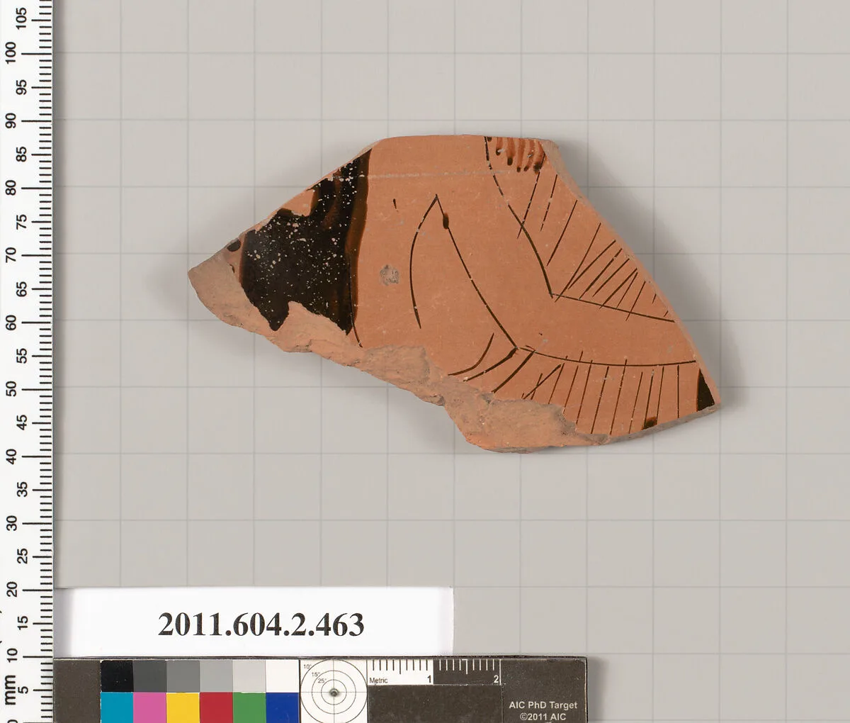 Terracotta fragment of a column-krater (bowl for mixing wine and water) — Unknown