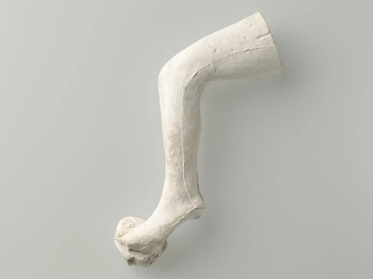 Study of a leg — Auguste Rodin