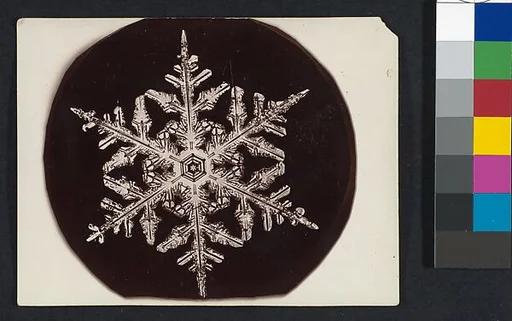 [Snow Crystal]