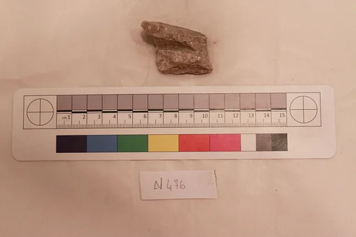 Stucco Fragment