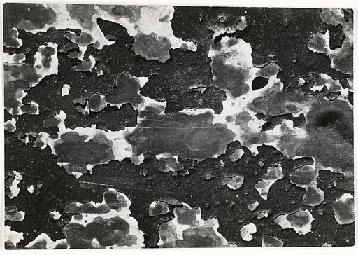 [Flaking Tar on Stained Wall]