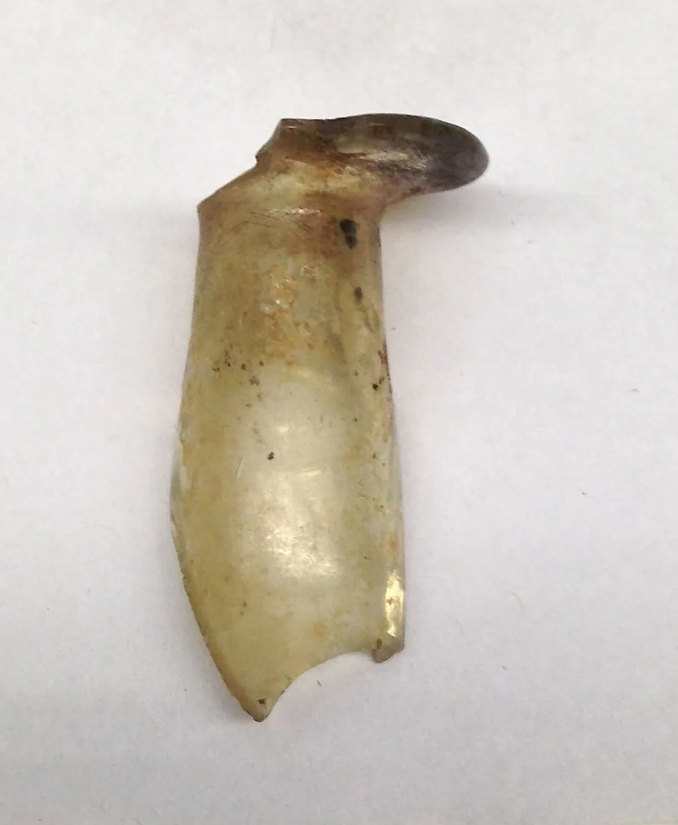 Neck of Flask — Unknown