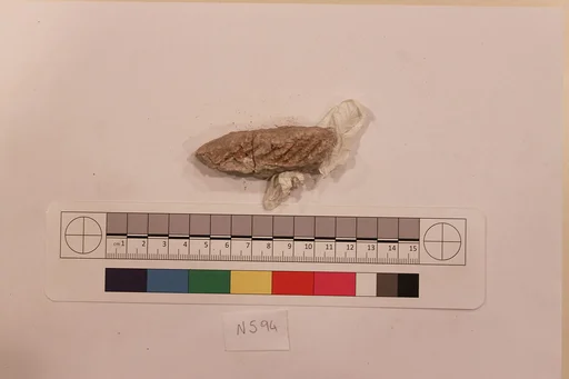 Stucco Fragment