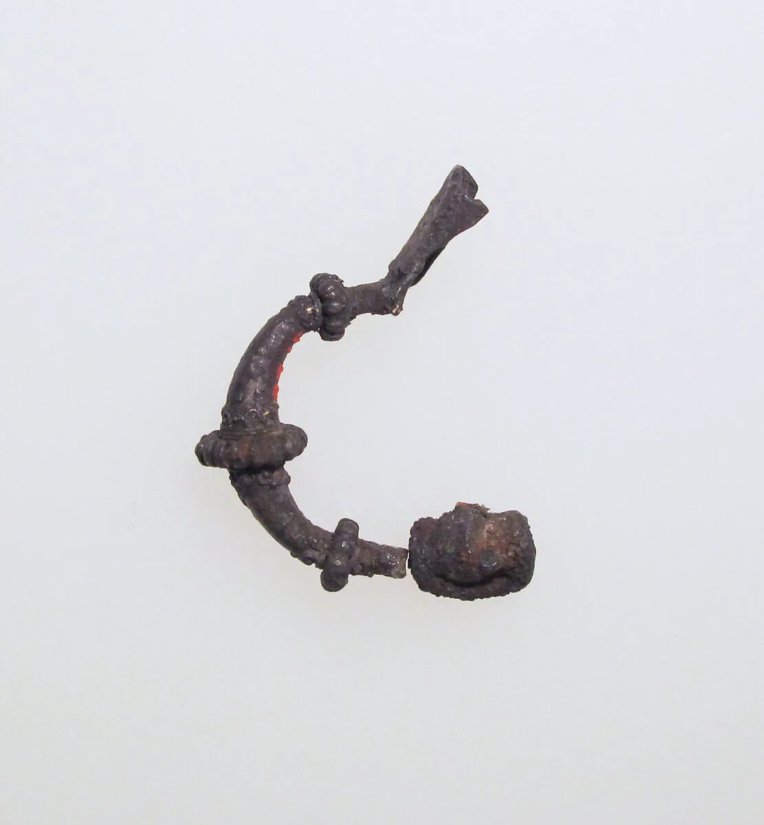 Fibula — Unknown