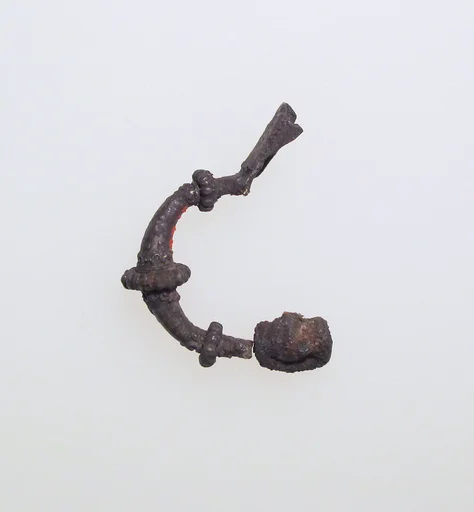 Fibula