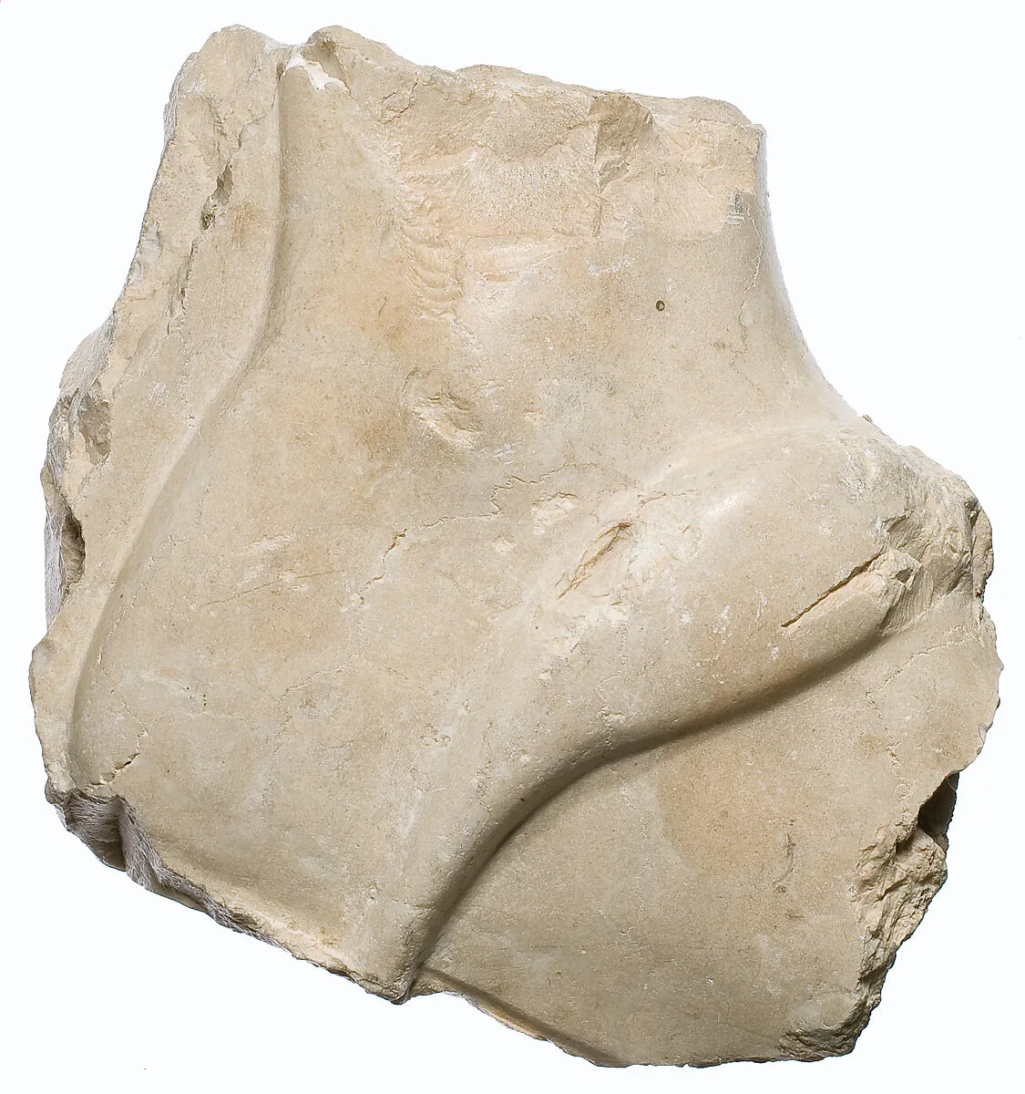 Foot fragment, striding — Unknown