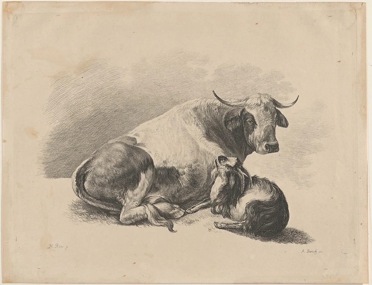 Cow and goat lying down — Johann Heinrich Roos|Adam von Bartsch