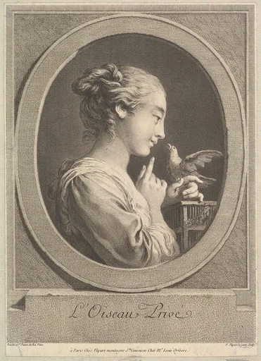 The Tamed Bird