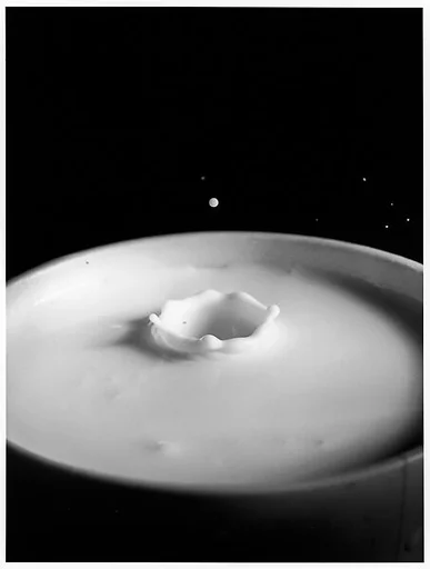 [Milk Drop Falling Into Reservoir of Milk (2/9)]