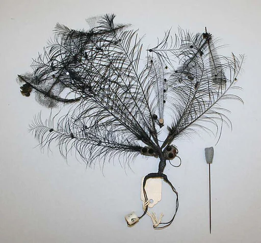 Aigrette