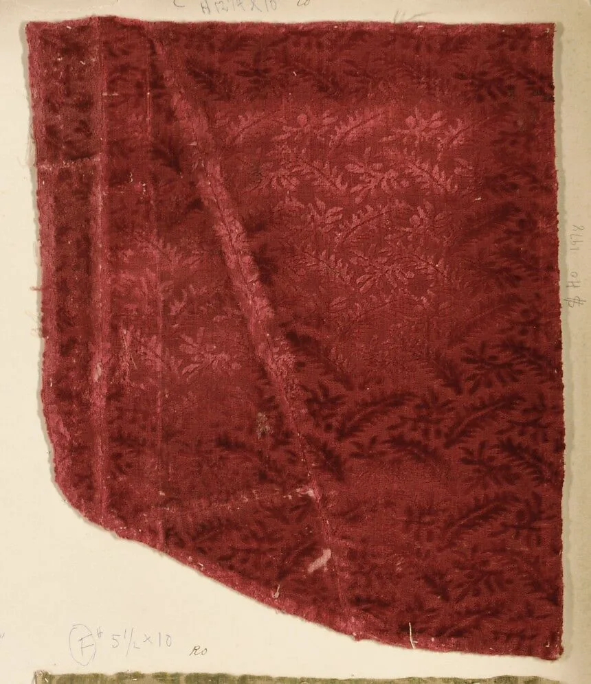 Fragment — Unknown