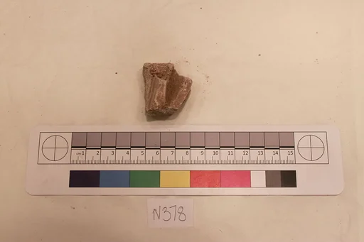 Stucco Fragment
