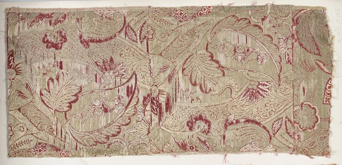 Fragment — Unknown