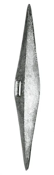 Parrying Shield — Unknown