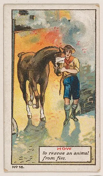 How to Rescue an Animal From Fire, No. 16, bakery insert card from the How To Do It series (D45), issued by the Welle-Boettler Bakery Company — Welle-Boettler Bakery Company