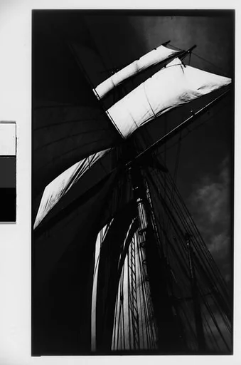 [South Seas: Sail, Mast, and Rigging of Cressida]