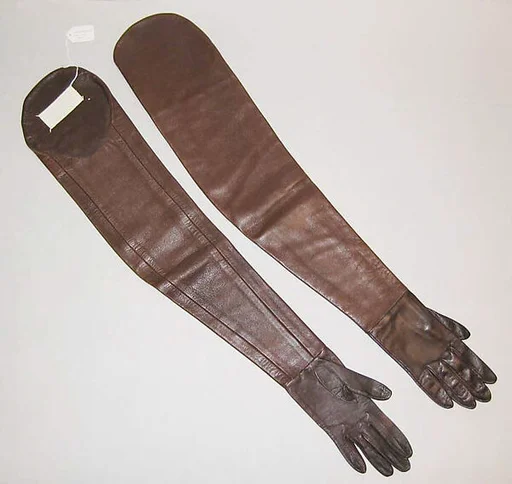 Gloves