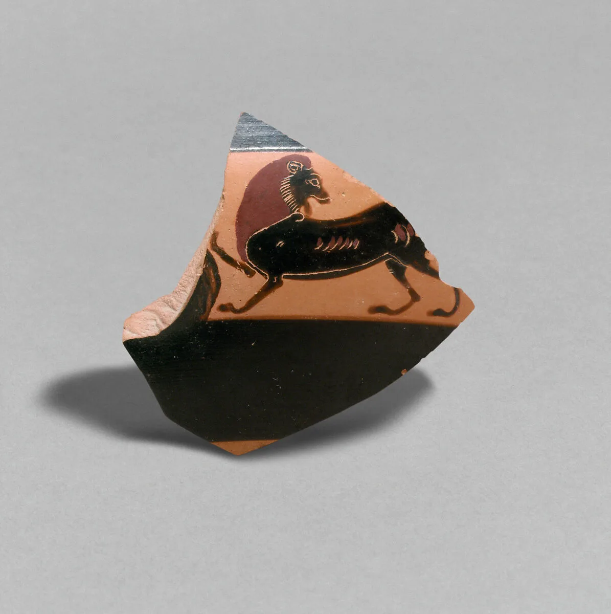 Fragment of a terracotta kylix: band-cup (drinking cup) — Amasis Painter