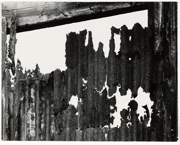 Bayonne — Aaron Siskind