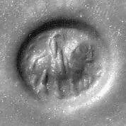 Stamp seal — Unknown