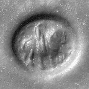 Stamp seal