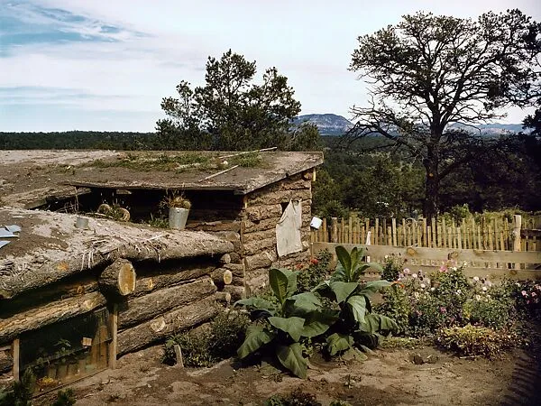 Garden Adjacent to the Dugout Home of Jessie and Edith Evans-Whinery — Debbie Grossman|Russell Lee