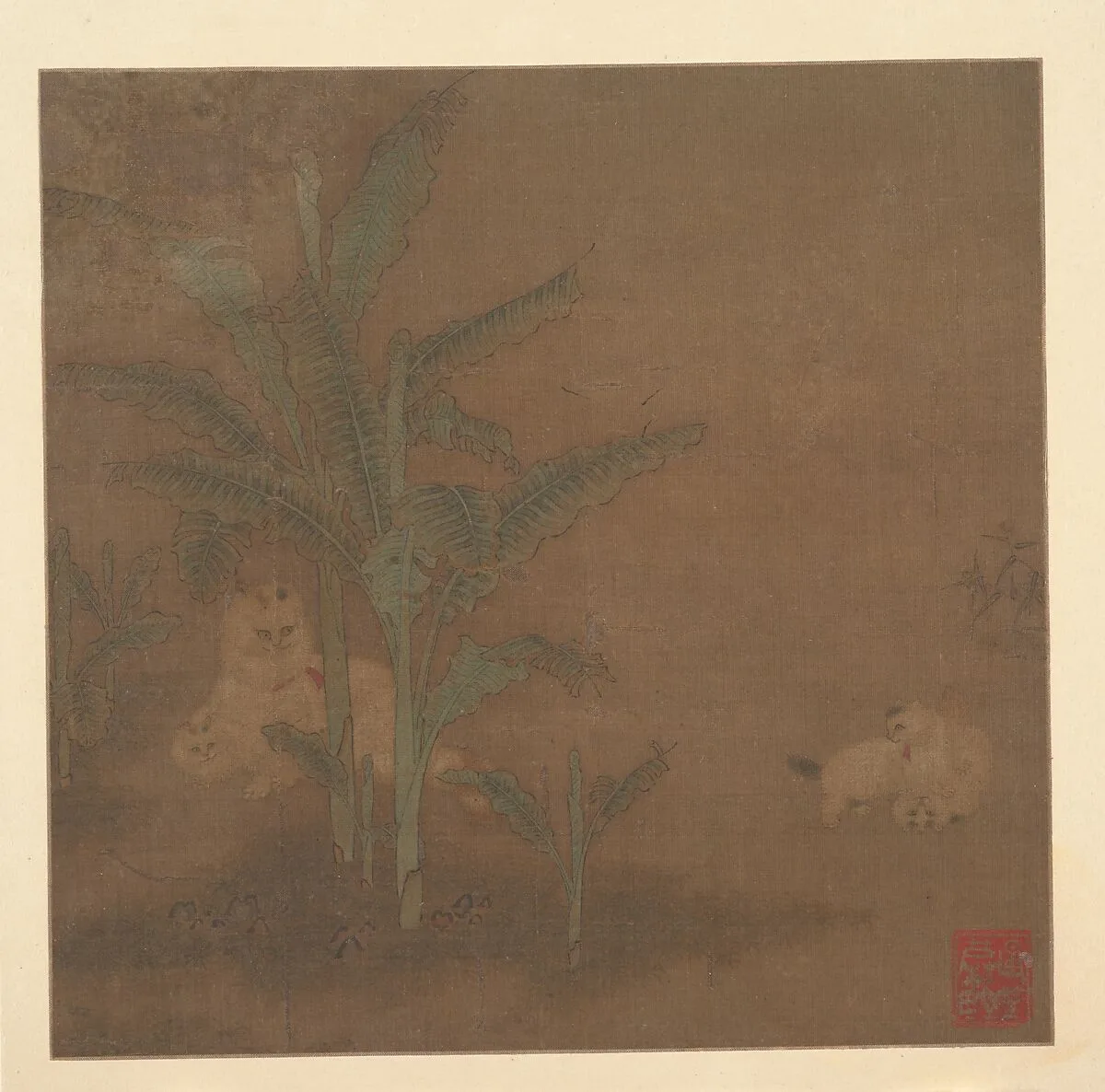 明 佚名 貍奴芭蕉圖 冊頁|Frolicking Kittens under a Banana Tree — Unidentified artist