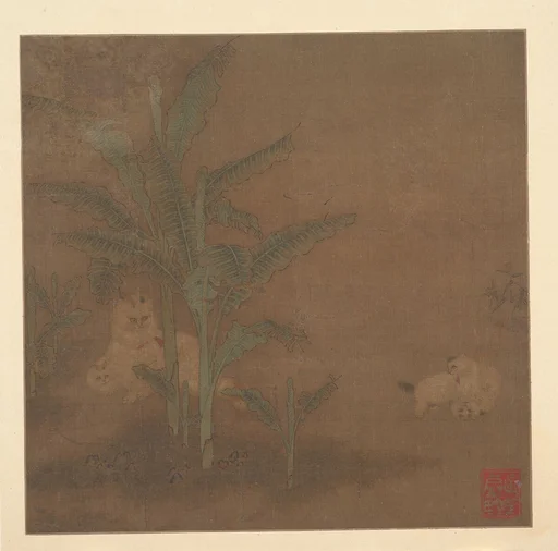 明 佚名 貍奴芭蕉圖 冊頁|Frolicking Kittens under a Banana Tree