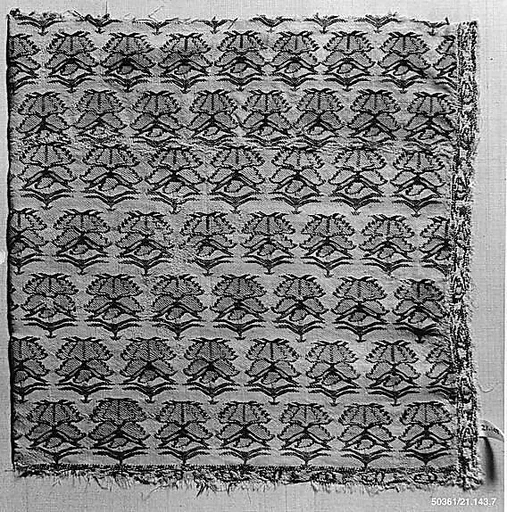 Textile Fragment