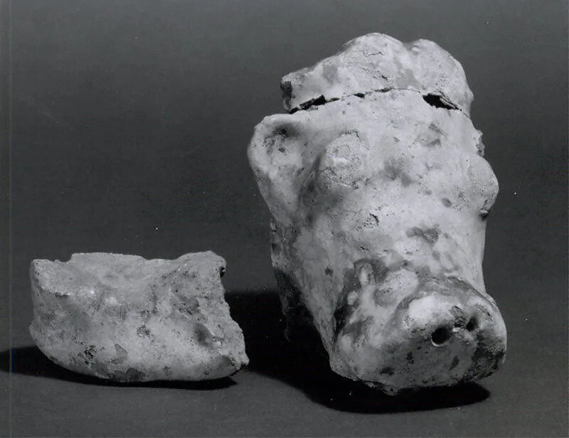 Head of bull — Unknown