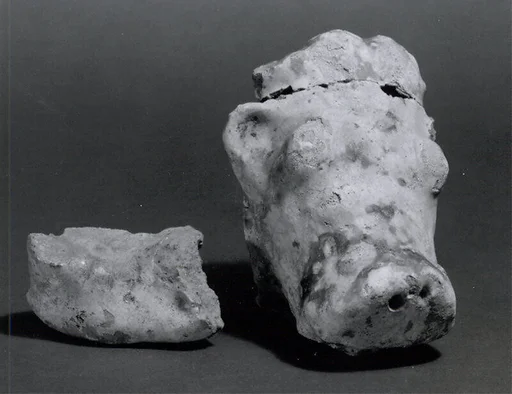 Head of bull