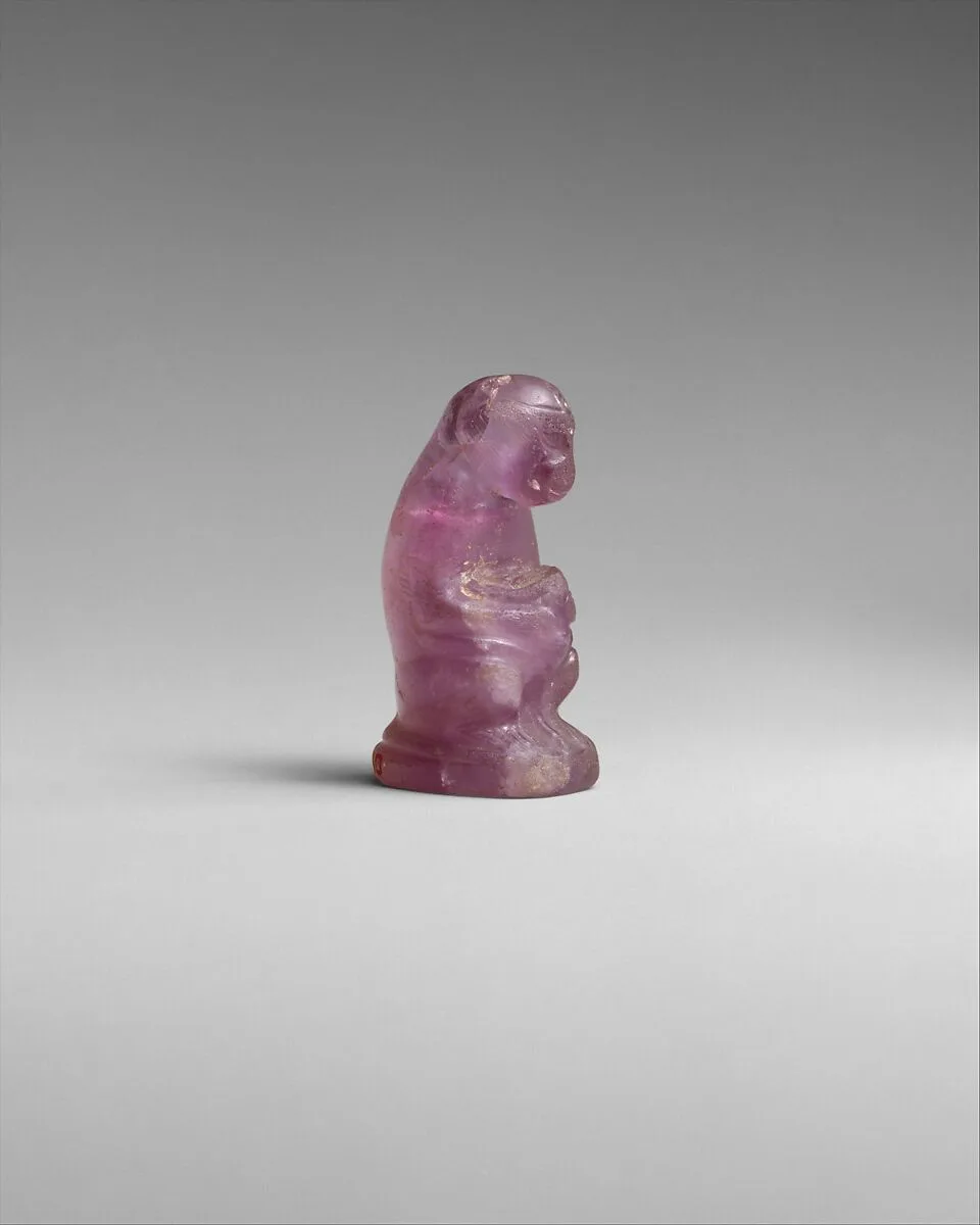 Female Monkey Holding Its Baby — Unknown