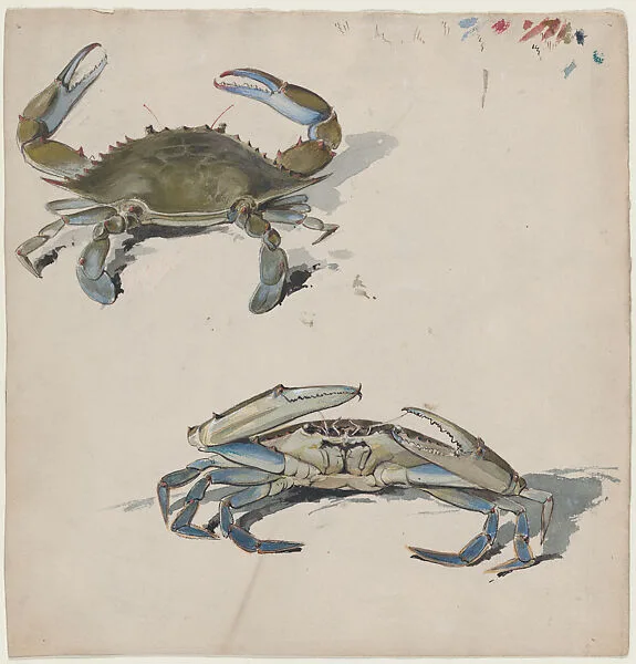 Two Crabs — Benjamin Henry Day Jr.