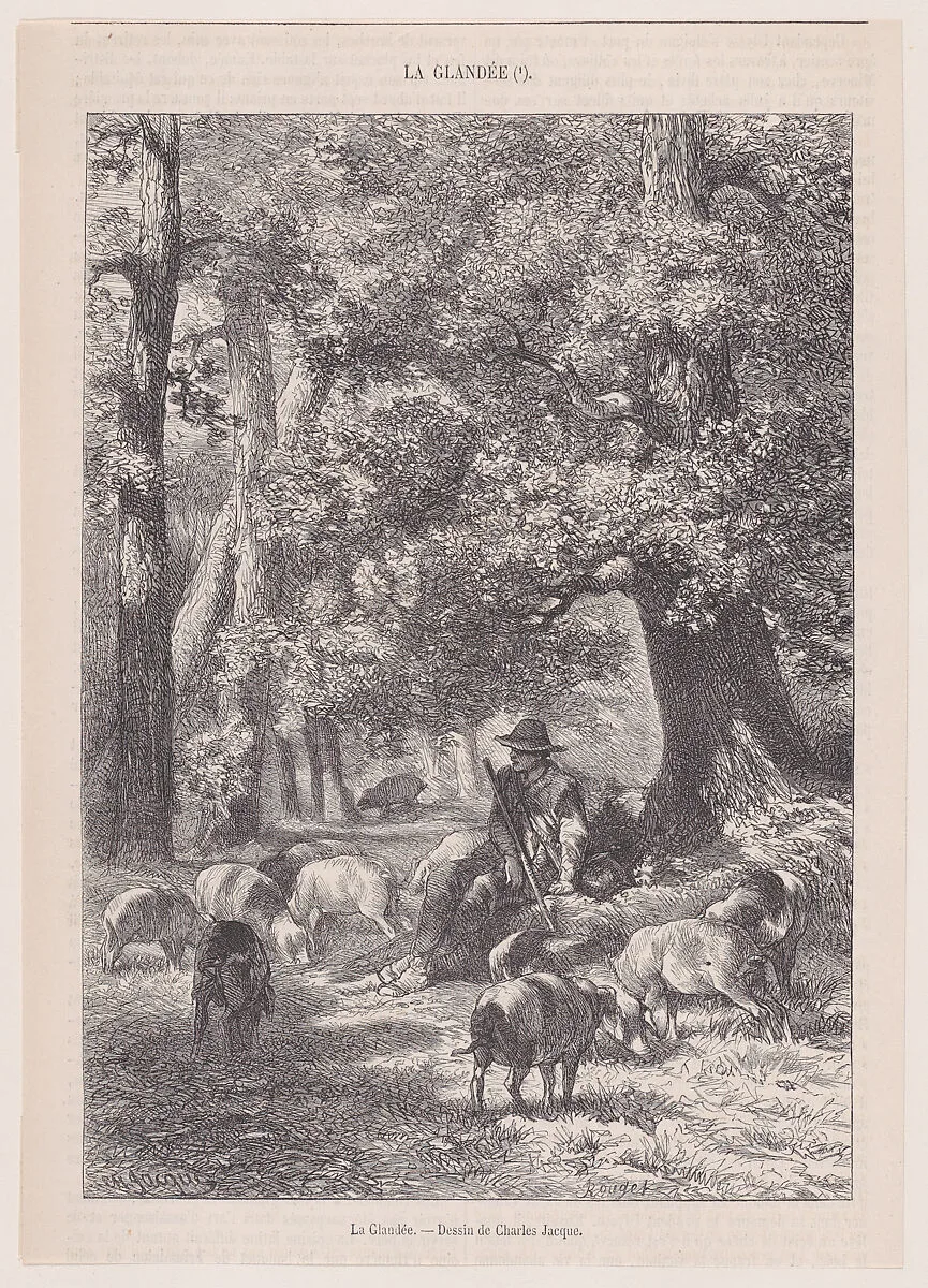 La Glandée; from Magasin Pittoresque — François Rouget|Charles Jacque