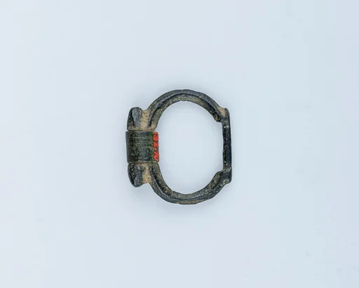 Buckle Loop