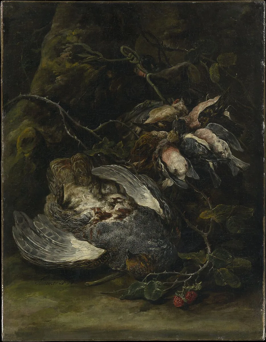 A Partridge and Small Game Birds — Jan Fyt