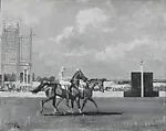 Two Race Horses Walking Down Past the Post — Alfred Munnings