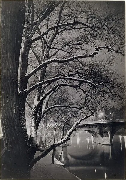 Les arbres des quais avec le Pont-Neuf — Brassaï