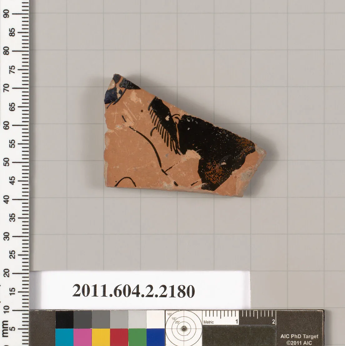 Terracotta fragment of a pot; unglazed on the inside — Unknown