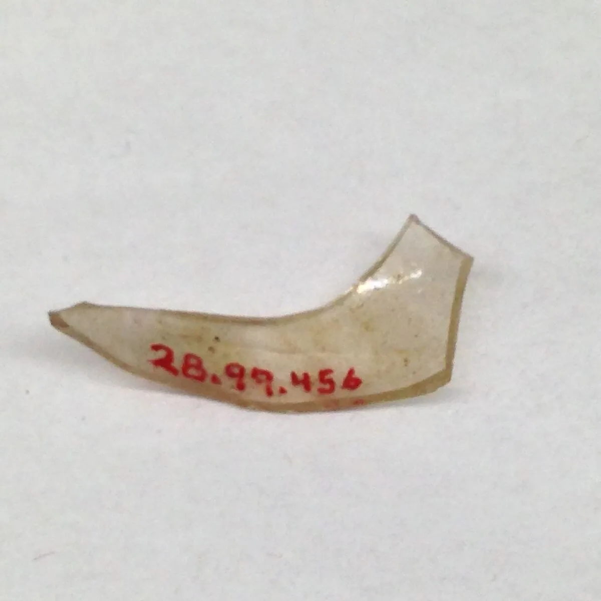 Fragment — Unknown