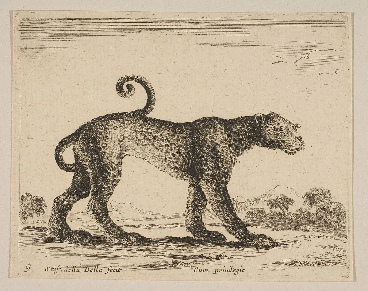 Plate 9: Leopard, from "Various animals" (Diversi animali) — Stefano della Bella