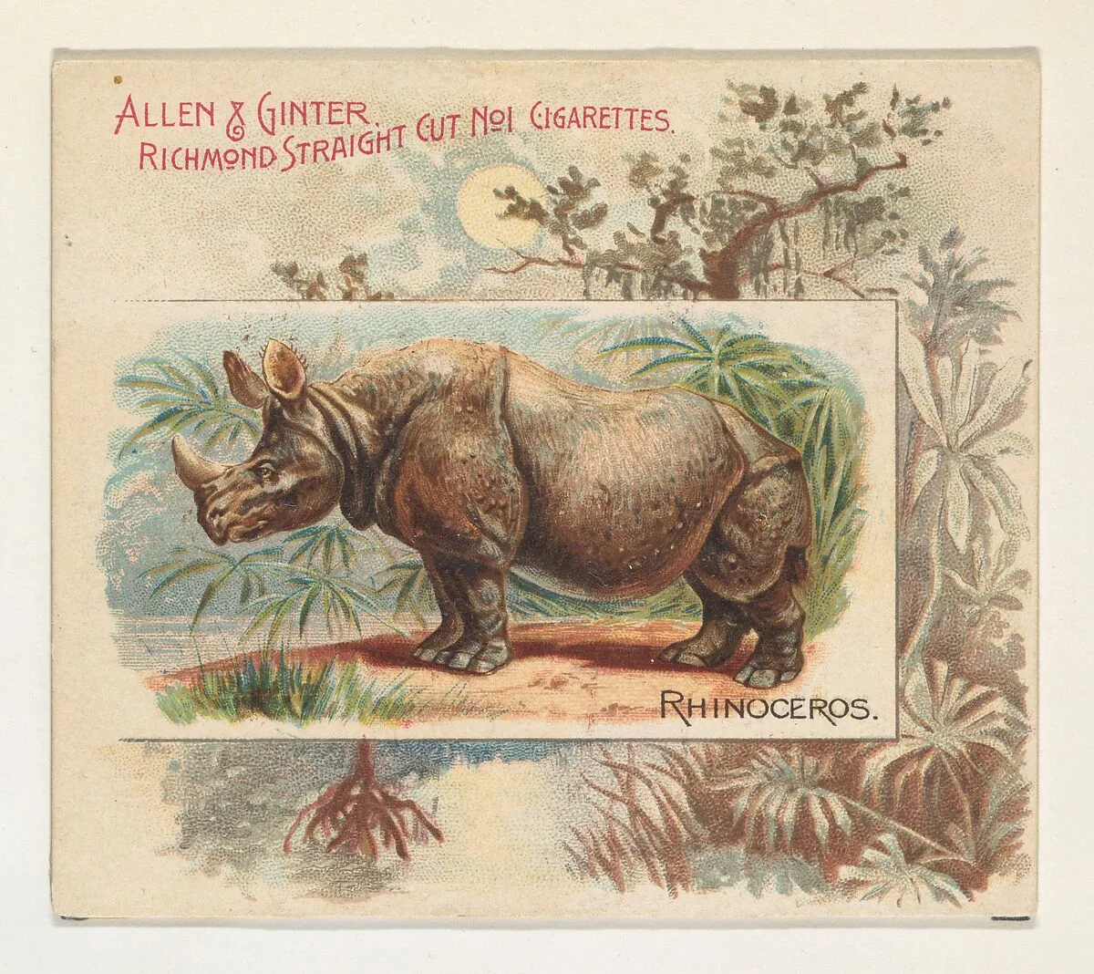 Rhinoceros, from Quadrupeds series (N41) for Allen & Ginter Cigarettes — Allen & Ginter|Lindner, Eddy & Claus