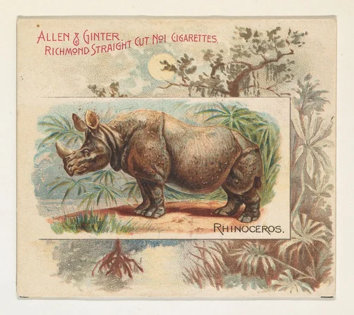 Rhinoceros, from Quadrupeds series (N41) for Allen & Ginter Cigarettes