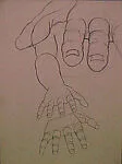 Untitled (study of hands) — John Rogers Cox