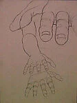 Untitled (study of hands)