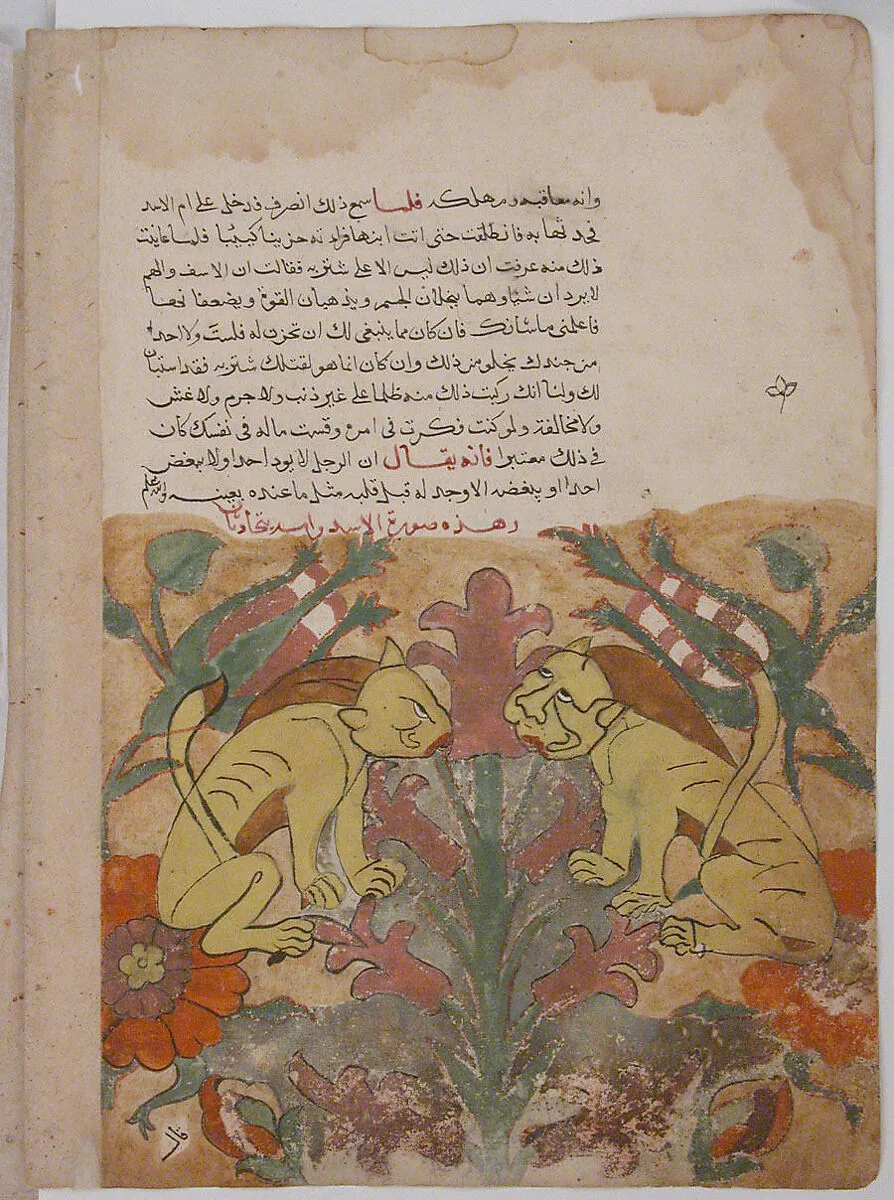 "The Lioness Counsels her Son", Folio from a Kalila wa Dimna — Unknown