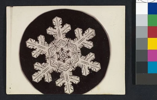 [Snow Crystal]